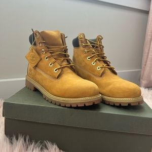 Timberland 6" Premium Waterproof Boots